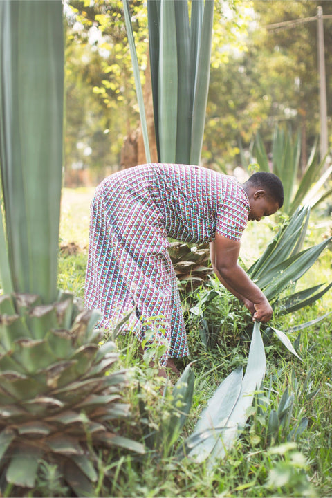 Local + Sustainable