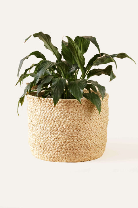 Braided Raffia Planter