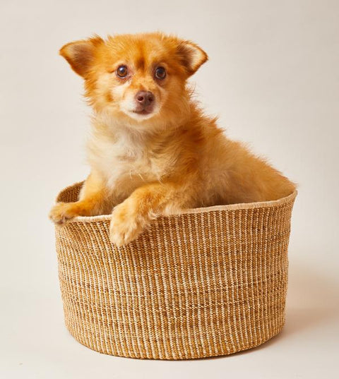 Banana Leaf Floor Basket in Mixed Natural Indego Africa