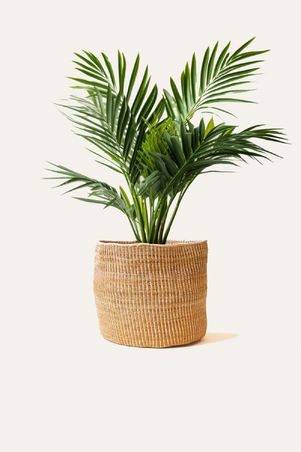 Banana Leaf Planter in Mixed Natural Indego Africa