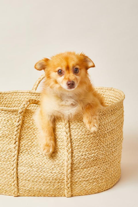 Rectangle Braided Raffia Floor Basket